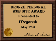 The Personalized Bronze Award (top 3%)